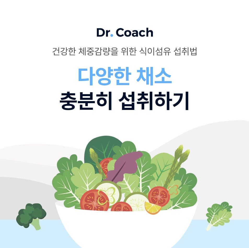 건강한 체중감량을 위한 식이섬유 섭취법! 다양한 채소 충분히 섭취하기